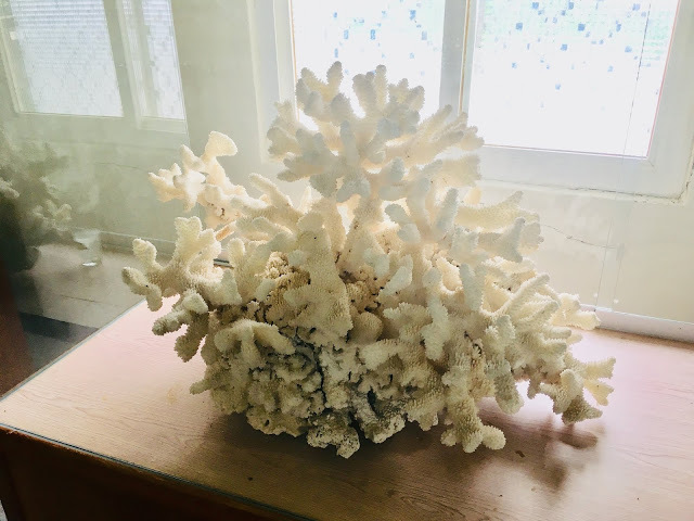 [小琉球住宿] 番仔厝民宿｜豐富人情味的小琉球包棟及套裝行程，美麗的人文風景深度之旅，感覺像是擁有在小琉球的另一個家！