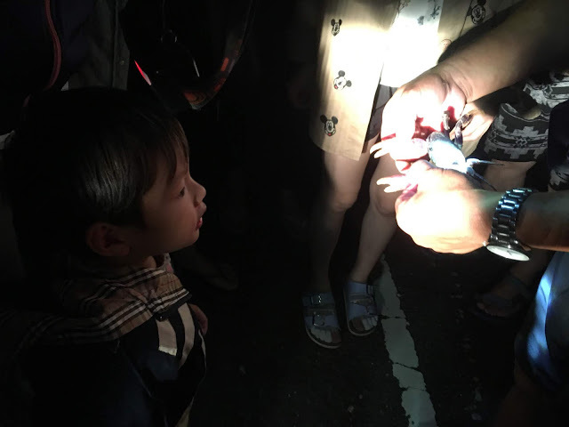 [小琉球住宿] 番仔厝民宿｜豐富人情味的小琉球包棟及套裝行程，美麗的人文風景深度之旅，感覺像是擁有在小琉球的另一個家！