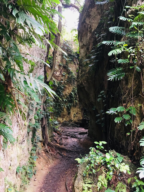 [小琉球住宿] 番仔厝民宿｜豐富人情味的小琉球包棟及套裝行程，美麗的人文風景深度之旅，感覺像是擁有在小琉球的另一個家！