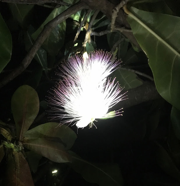 [小琉球住宿] 番仔厝民宿｜豐富人情味的小琉球包棟及套裝行程，美麗的人文風景深度之旅，感覺像是擁有在小琉球的另一個家！