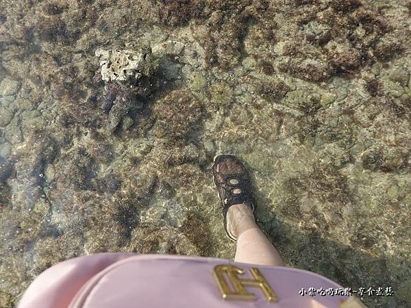 杉福潮間帶導覽-番仔厝民宿 (14).jpg