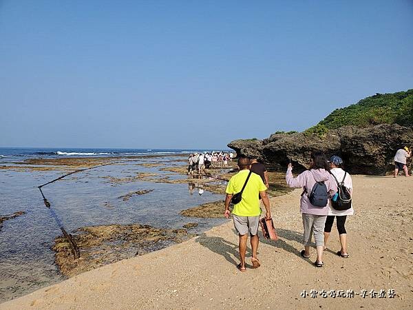 杉福潮間帶導覽-番仔厝民宿 (17).jpg