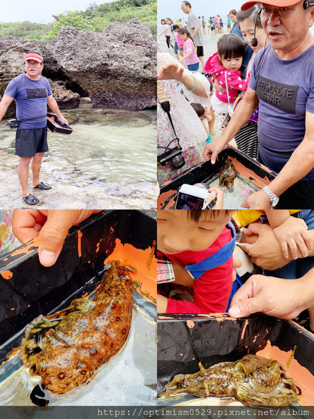 《屏東-琉球》尋覓海龜蹤跡，瞭解小琉球生態，夜探陸蟹、棋盤腳，找在地專業的-「小琉球番仔厝民宿」