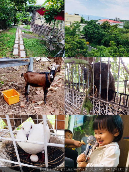 《屏東-琉球》尋覓海龜蹤跡，瞭解小琉球生態，夜探陸蟹、棋盤腳，找在地專業的-「小琉球番仔厝民宿」