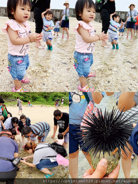 《屏東-琉球》尋覓海龜蹤跡，瞭解小琉球生態，夜探陸蟹、棋盤腳，找在地專業的-「小琉球番仔厝民宿」