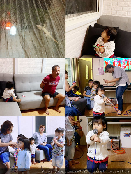 《屏東-琉球》尋覓海龜蹤跡，瞭解小琉球生態，夜探陸蟹、棋盤腳，找在地專業的-「小琉球番仔厝民宿」