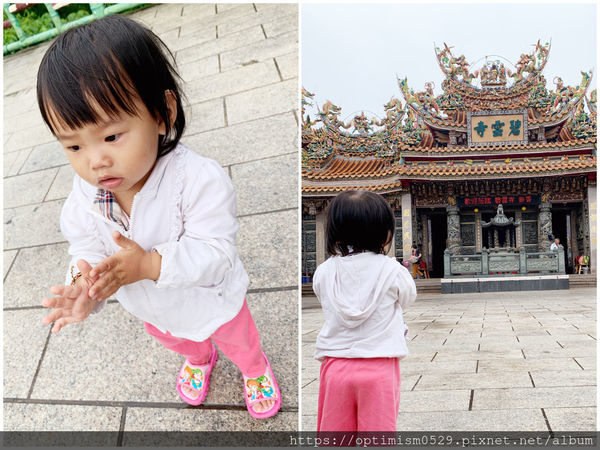 《屏東-琉球》尋覓海龜蹤跡，瞭解小琉球生態，夜探陸蟹、棋盤腳，找在地專業的-「小琉球番仔厝民宿」