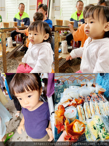 《屏東-琉球》尋覓海龜蹤跡，瞭解小琉球生態，夜探陸蟹、棋盤腳，找在地專業的-「小琉球番仔厝民宿」