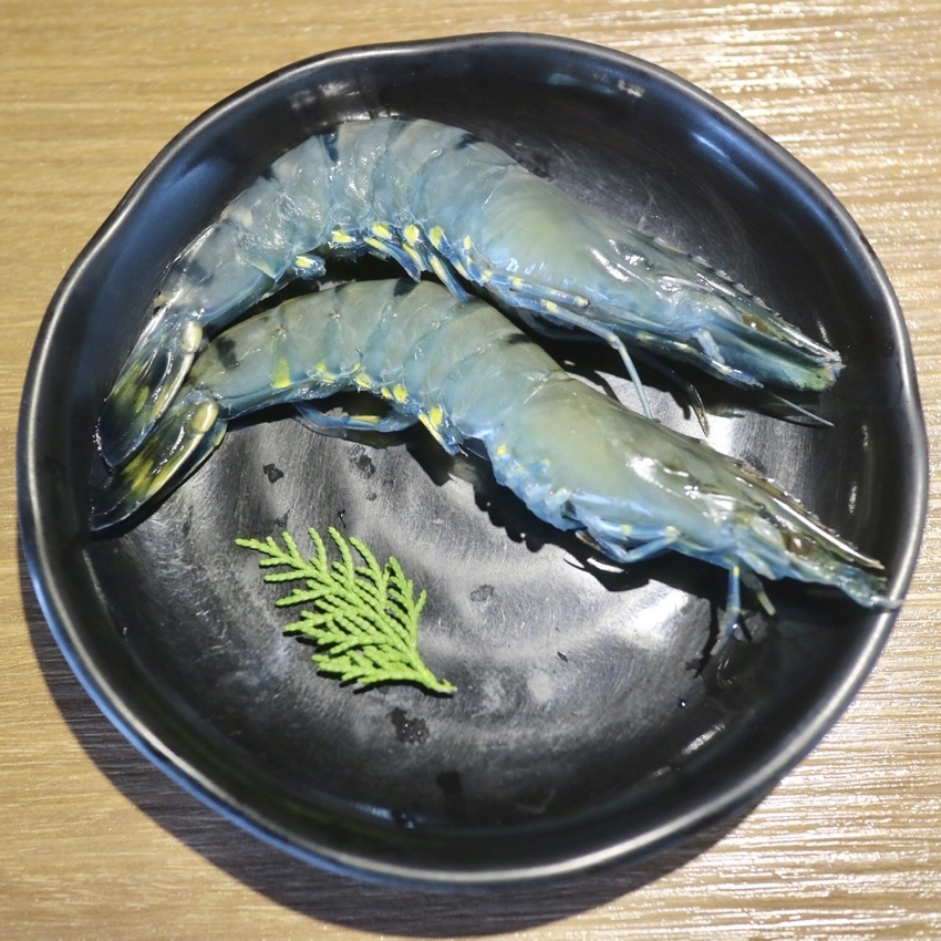 【瀧厚鍋物-敦北店】松山民生社區高CP值的火鍋！大推蛤蜊爆爆鍋＆極上羽下肉～ - 邦妮2兔