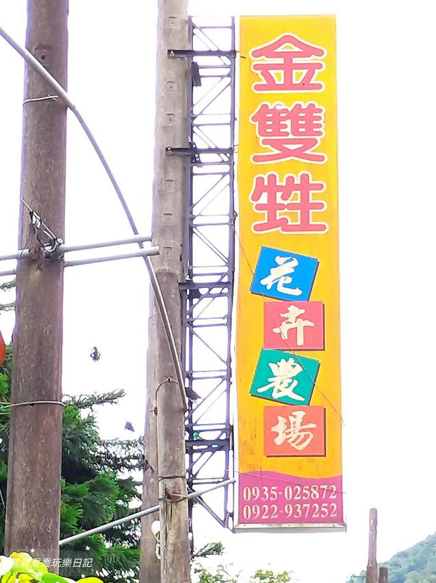 文心蘭金黃隧道,金雙甡花卉農場 文心蘭金黃隧道,金雙甡花卉農場