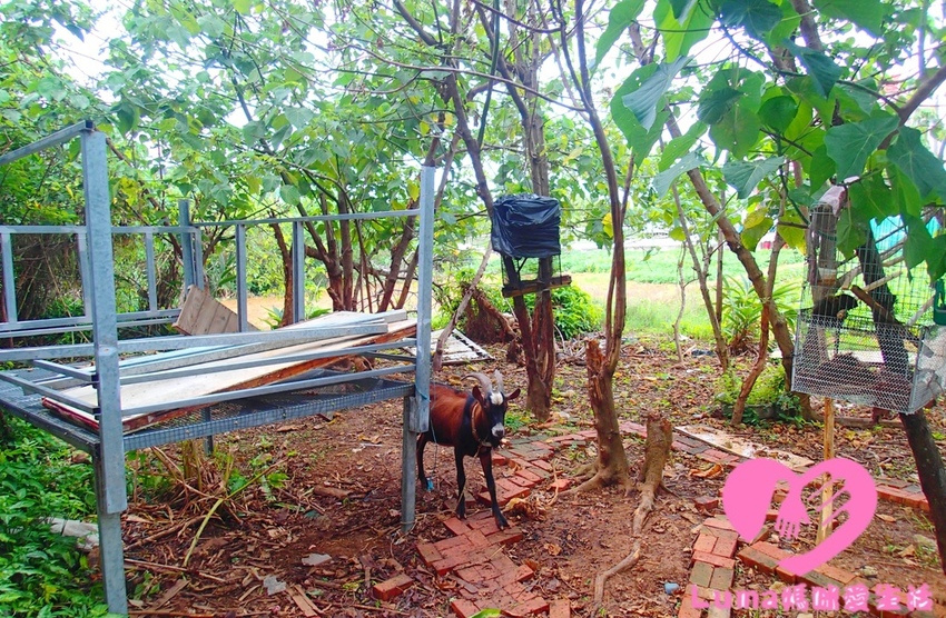 P5051863 - 複製.JPG