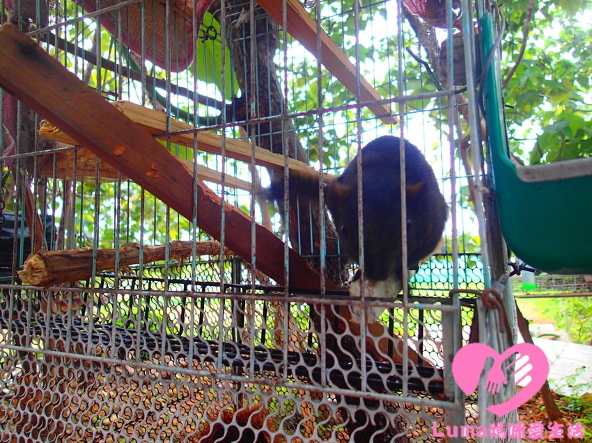 P5051869 - 複製.JPG