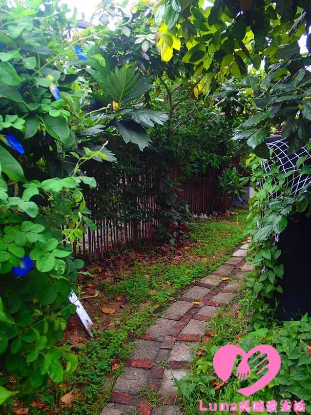 P5051875 - 複製.JPG