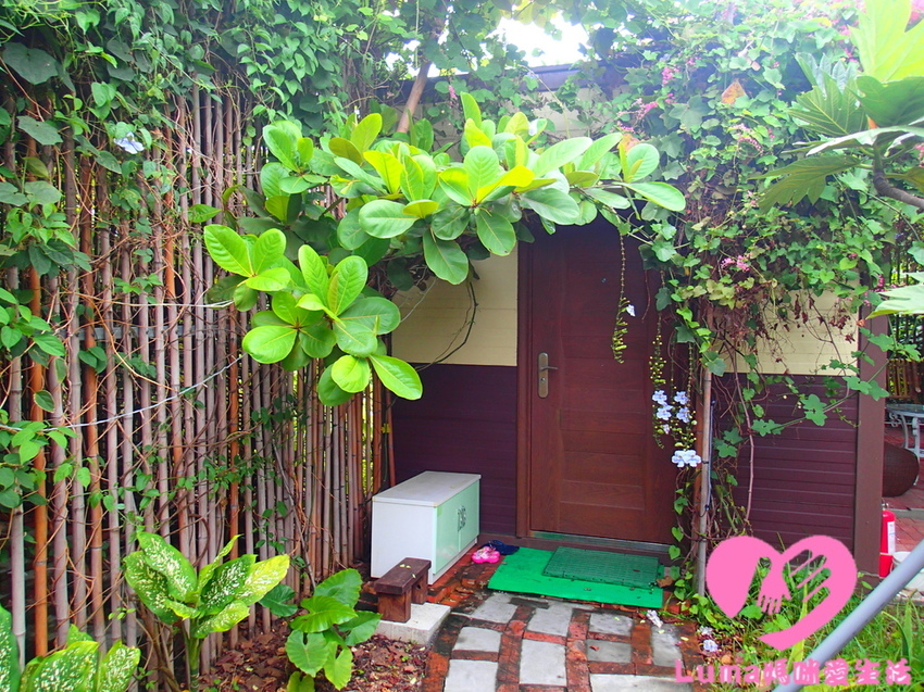 P5051856 - 複製.JPG