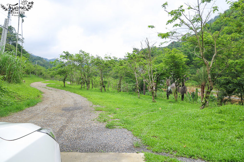 高雄露營住宿.Glamping豪華露營：蝶舞澗|蟬說：瀰蝶源記~1泊3食 輕鬆露營好好玩 - 緹雅瑪 美食旅遊趣
