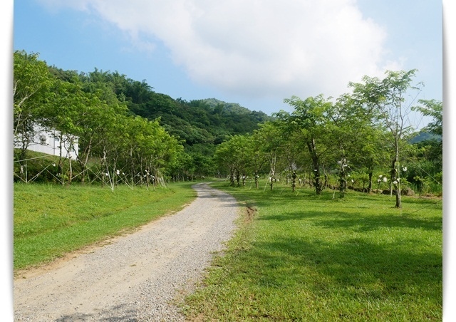 高雄美濃「蝶舞澗」帶著孩子來場豪華Glamping露營吧 ♪