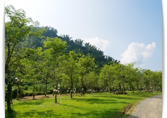 高雄美濃「蝶舞澗」帶著孩子來場豪華Glamping露營吧 ♪