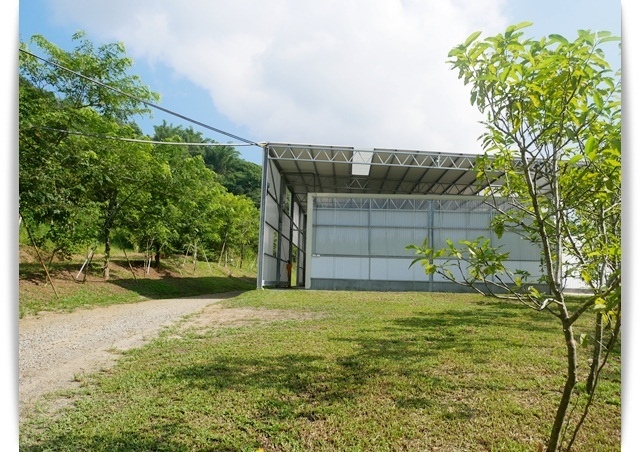 高雄美濃「蝶舞澗」帶著孩子來場豪華Glamping露營吧 ♪