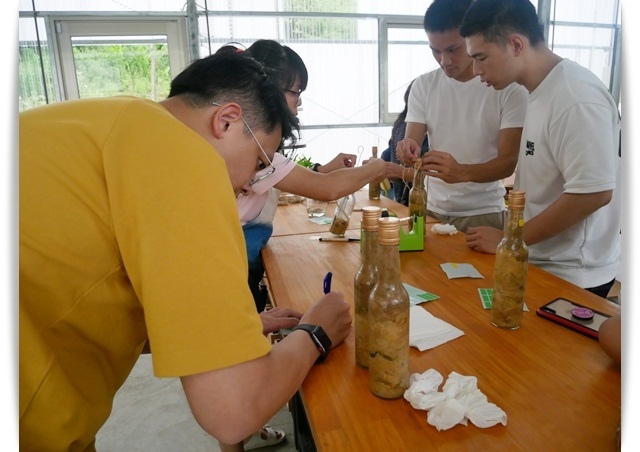 高雄美濃「蝶舞澗」帶著孩子來場豪華Glamping露營吧 ♪