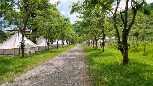 Stay|高雄美濃|蝶舞澗/蟬說:瀰蝶源記-輕裝入住美濃秘境,輕鬆享受蝶舞花香、客家莊桃花源及在地創意美食