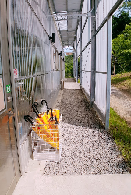 Stay|高雄美濃|蝶舞澗/蟬說:瀰蝶源記-輕裝入住美濃秘境,輕鬆享受蝶舞花香、客家莊桃花源及在地創意美食