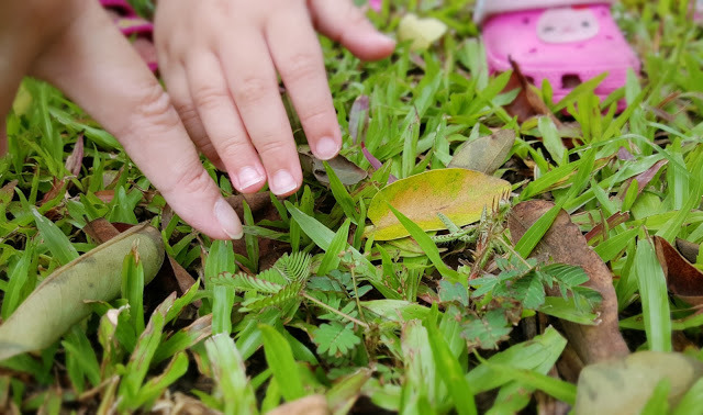 Stay|高雄美濃|蝶舞澗/蟬說:瀰蝶源記-輕裝入住美濃秘境,輕鬆享受蝶舞花香、客家莊桃花源及在地創意美食