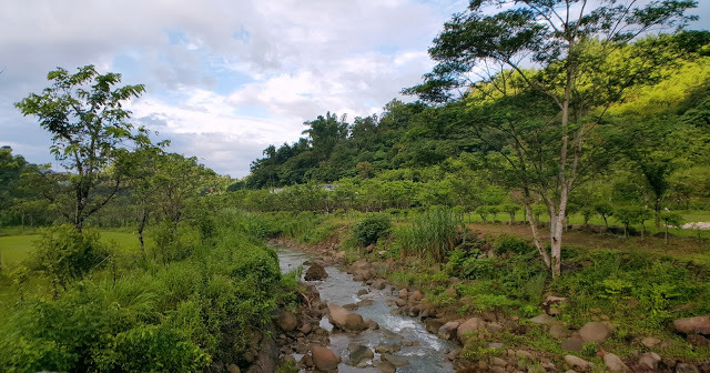 Stay|高雄美濃|蝶舞澗/蟬說:瀰蝶源記-輕裝入住美濃秘境,輕鬆享受蝶舞花香、客家莊桃花源及在地創意美食