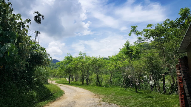 Stay|高雄美濃|蝶舞澗/蟬說:瀰蝶源記-輕裝入住美濃秘境,輕鬆享受蝶舞花香、客家莊桃花源及在地創意美食