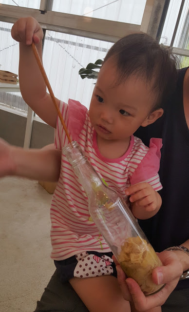 Stay|高雄美濃|蝶舞澗/蟬說:瀰蝶源記-輕裝入住美濃秘境,輕鬆享受蝶舞花香、客家莊桃花源及在地創意美食