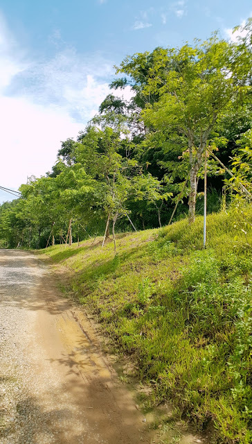 Stay|高雄美濃|蝶舞澗/蟬說:瀰蝶源記-輕裝入住美濃秘境,輕鬆享受蝶舞花香、客家莊桃花源及在地創意美食