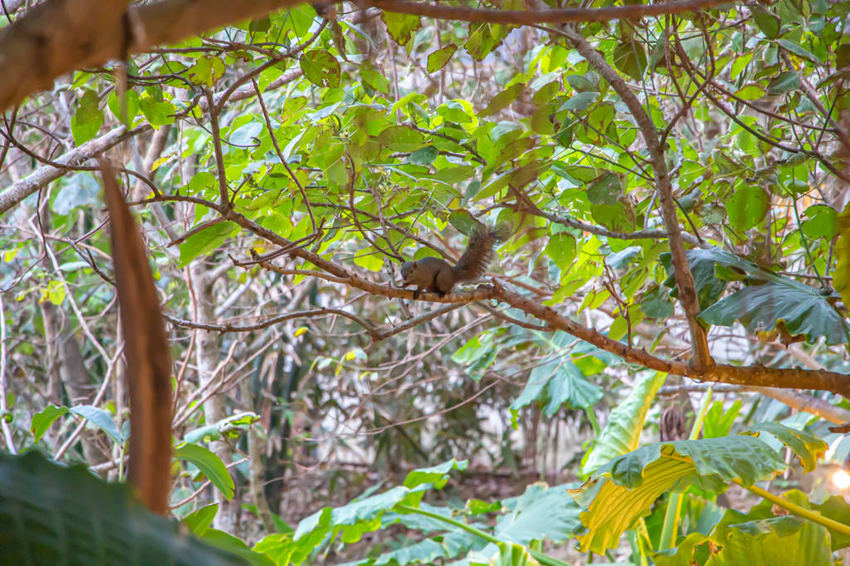 花蓮景點，好山好水好好拍的山度空間。 - 微笑Joe幸運