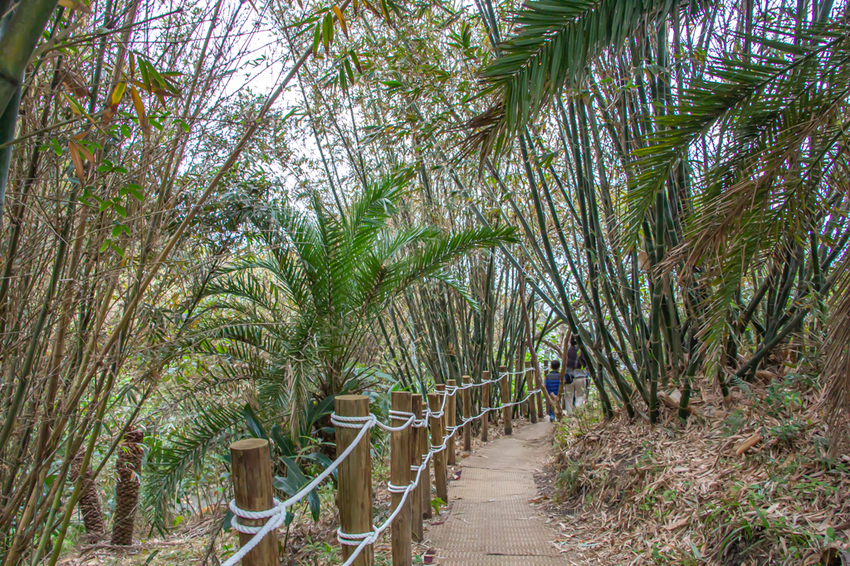 花蓮景點，好山好水好好拍的山度空間。 - 微笑Joe幸運