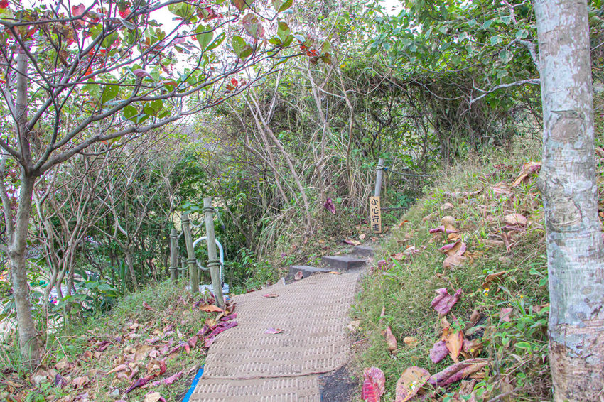 花蓮景點，好山好水好好拍的山度空間。 - 微笑Joe幸運