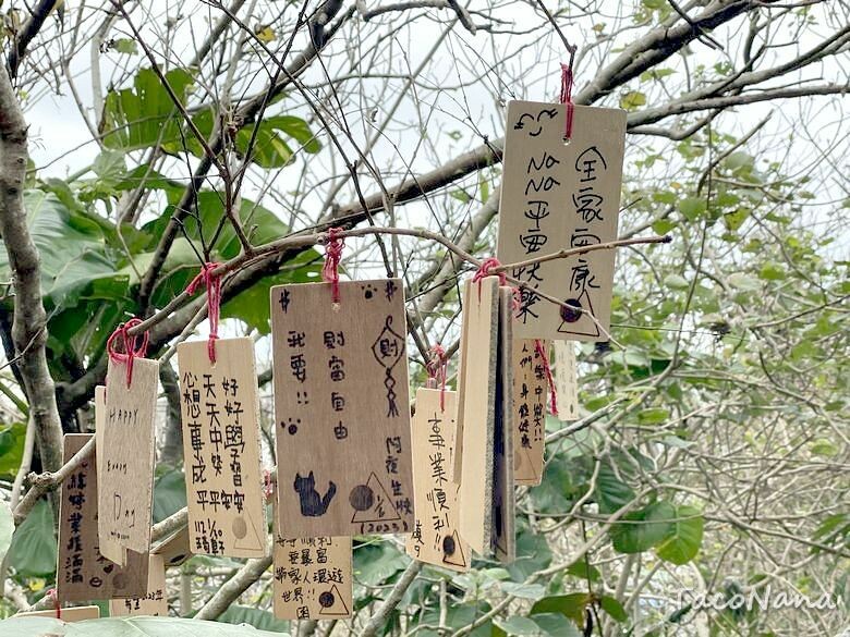 花蓮壽豐景點》山度空間│無敵海景搭配海上鞦韆,唯美天空之鏡!銅板價入園拍美照,折抵換一杯冰紅茶。