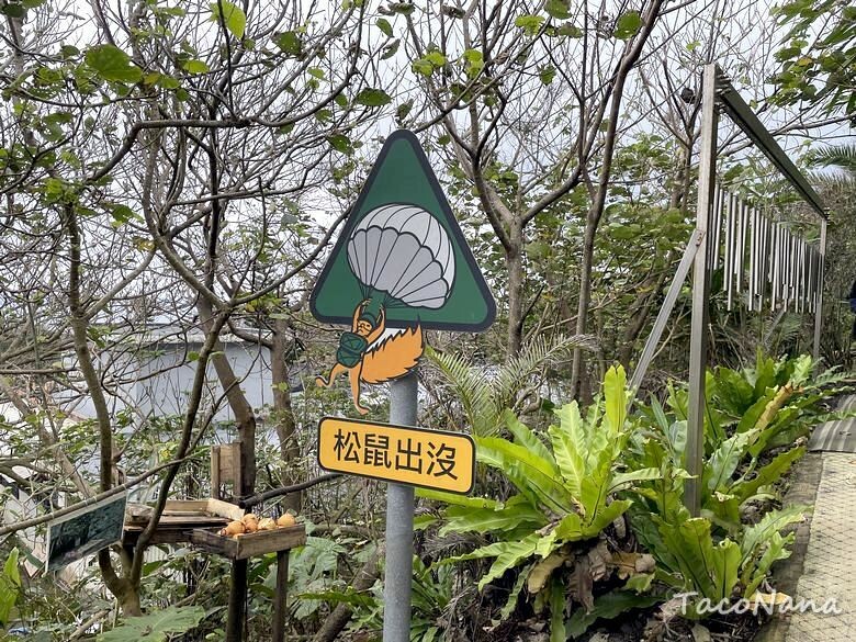 花蓮壽豐景點》山度空間│無敵海景搭配海上鞦韆,唯美天空之鏡!銅板價入園拍美照,折抵換一杯冰紅茶。