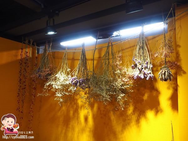 桃園龜山美食-一鍋賞-百元火鍋也有好湯頭，在漂亮的乾燥花店吃小火鍋啦  (邀約) @民宿女王芽月-美食.旅遊.全台趴趴走