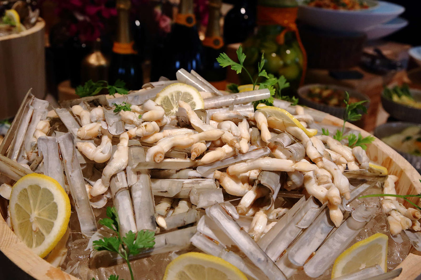 【食。台北】馬可波羅義大利餐廳-香格里拉台北遠東國際大飯店〜假日限定早午餐，高貴華麗的早午餐盛宴，晚起鳥兒有蟲吃，而且還吃到飽！