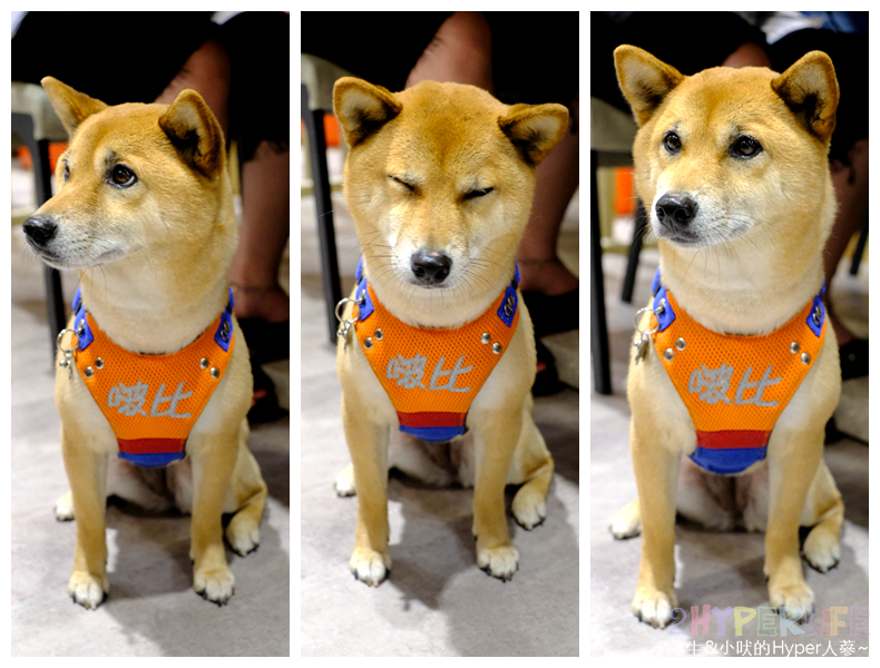 台中好吃火鍋,台中小火鍋,台中忠孝夜市美食,台中東,台中涮涮鍋,台中火鍋,台中火鍋推薦,台中石頭火鍋,台中美食,忠孝夜夜美食,忠孝夜市台中,忠孝夜市好吃,忠孝夜市火鍋,忠孝路美食,涮涮鍋,石頭火鍋,養鍋,養鍋 台中,養鍋 台中 分店,養鍋 菜單,養鍋忠孝夜市,養鍋忠孝店,養鍋菜單 @強生與小吠的Hyper人蔘~