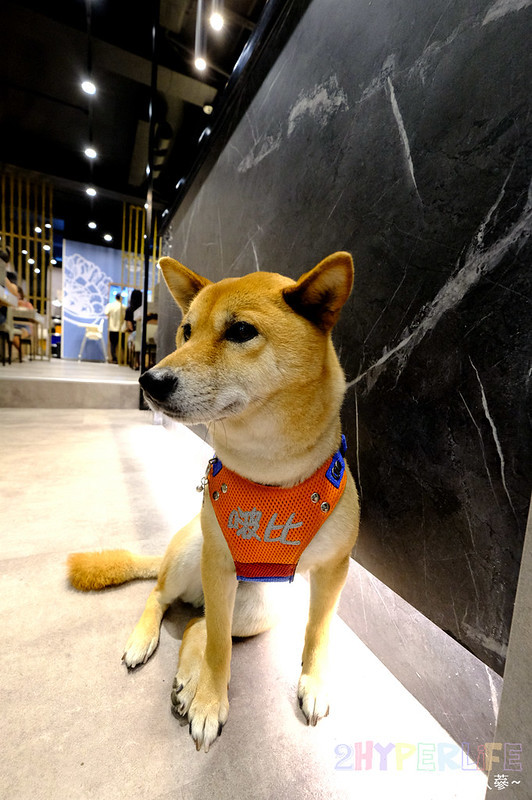 台中好吃火鍋,台中小火鍋,台中忠孝夜市美食,台中東,台中涮涮鍋,台中火鍋,台中火鍋推薦,台中石頭火鍋,台中美食,忠孝夜夜美食,忠孝夜市台中,忠孝夜市好吃,忠孝夜市火鍋,忠孝路美食,涮涮鍋,石頭火鍋,養鍋,養鍋 台中,養鍋 台中 分店,養鍋 菜單,養鍋忠孝夜市,養鍋忠孝店,養鍋菜單 @強生與小吠的Hyper人蔘~