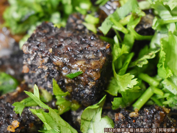 阿琴蚵嗲21-炸米血糕特寫.JPG
