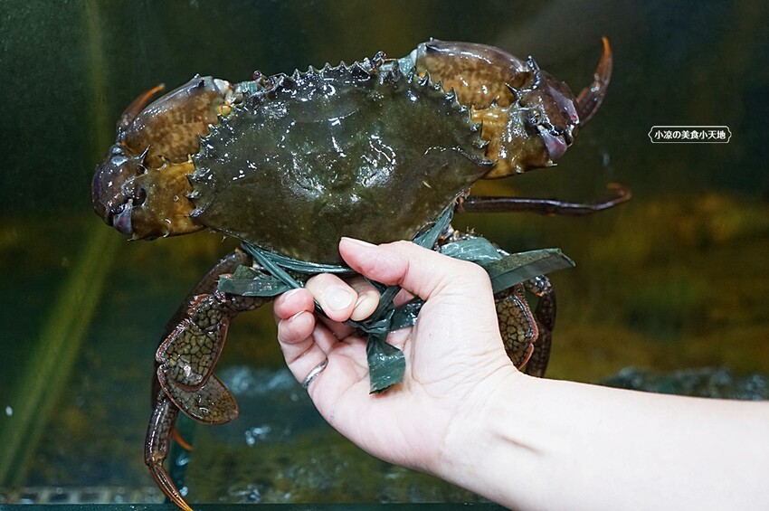 螃蟹控必收！！台中少見365天都有現撈活蟹料理，還有上百道熱炒任你點，聚餐來這準沒錯！！