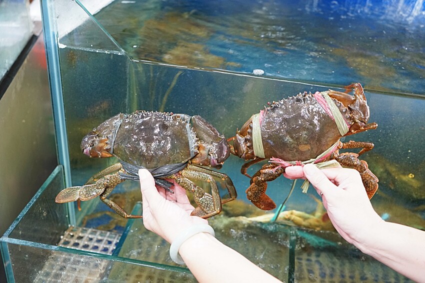 一年四季都能吃到活蟹料理！招牌燒鵝、潮汕砂鍋粥、各式熱炒通通有，聚餐就來這！！