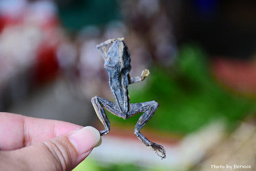 0611 魅力金三角06.jpg