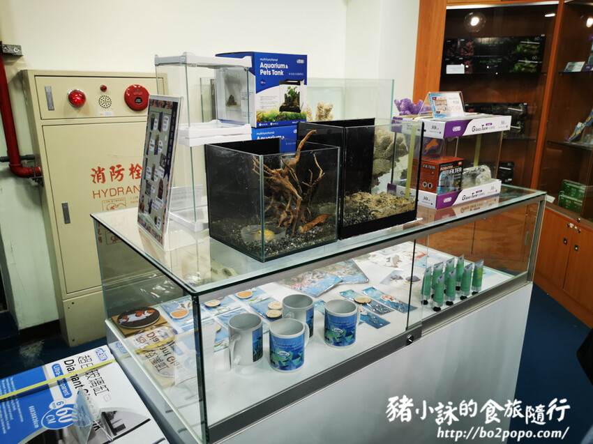 屏東。長治》農業生物科技園區觀賞水族展示廳。觀賞魚集大成