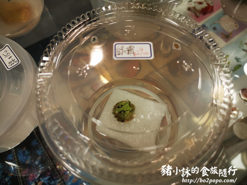 屏東。長治》農業生物科技園區觀賞水族展示廳。觀賞魚集大成