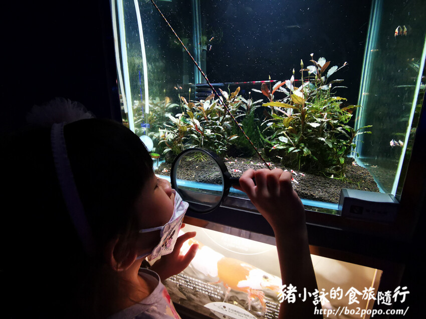 屏東。長治》農業生物科技園區觀賞水族展示廳。觀賞魚集大成