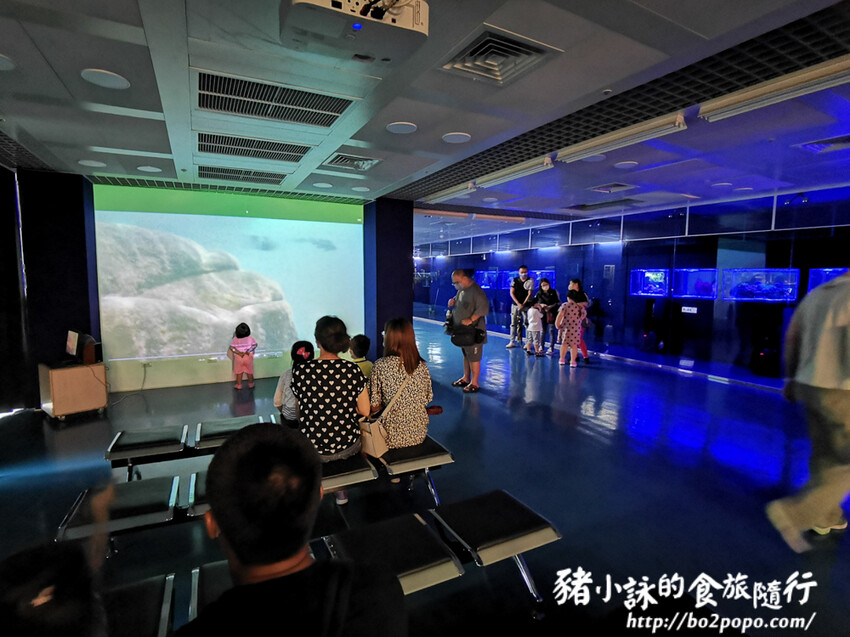 屏東。長治》農業生物科技園區觀賞水族展示廳。觀賞魚集大成