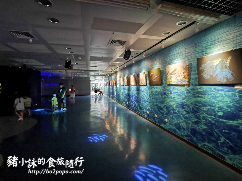 屏東。長治》農業生物科技園區觀賞水族展示廳。觀賞魚集大成