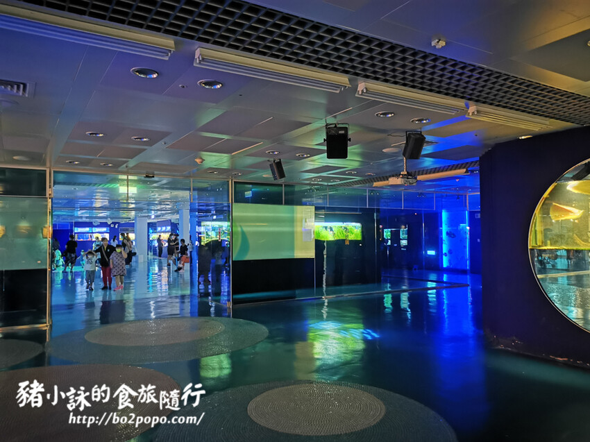 屏東。長治》農業生物科技園區觀賞水族展示廳。觀賞魚集大成