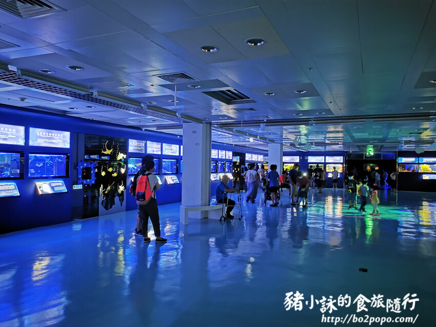 屏東。長治》農業生物科技園區觀賞水族展示廳。觀賞魚集大成